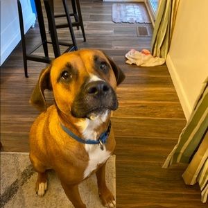 Meet your Posher, Carol